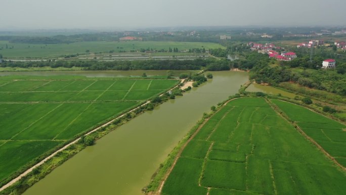 原创 江西南昌大片农田耕地农业航拍景观