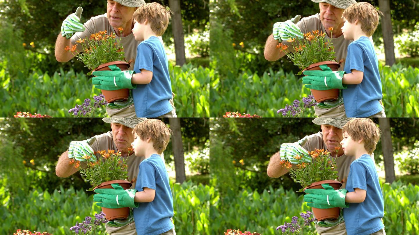 男子向孙子展示盆栽的慢镜头