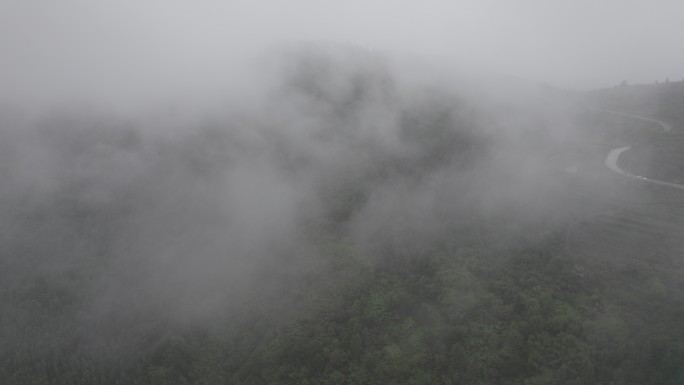 四川山区雨后迷雾航拍丨Dlog丨原始素材