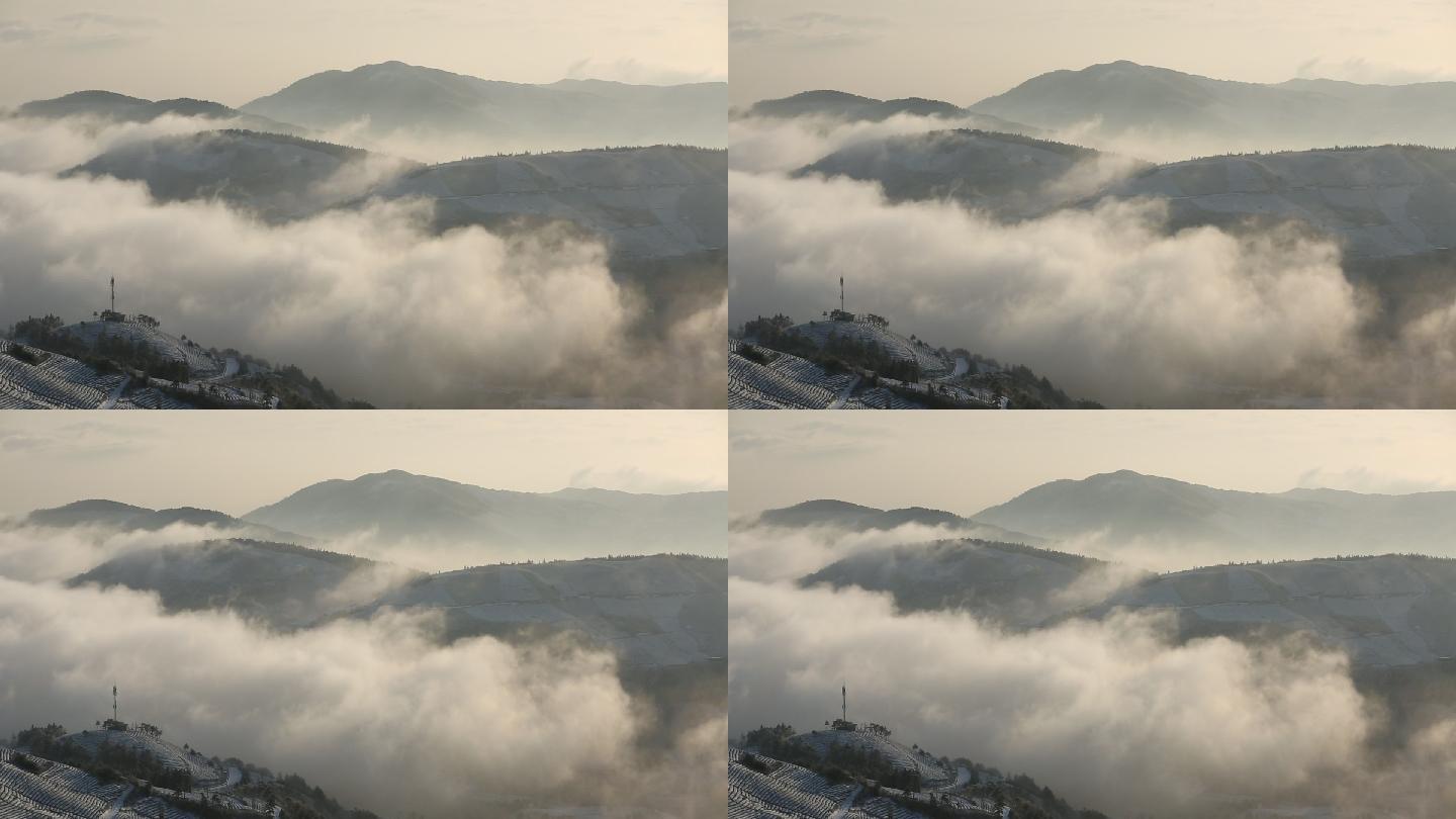 东白山茶场冬天云雾水墨冰凌雾凇雪山早晨