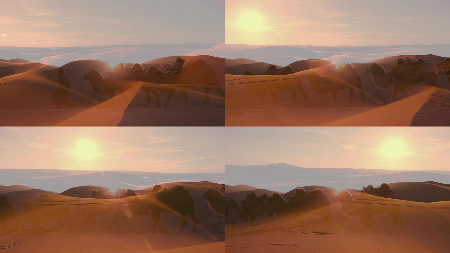 视频素材；实拍视频；自然风景；沙漠夕阳