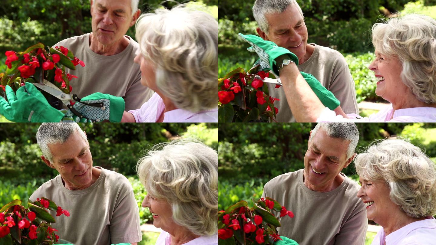 退休夫妇一起在花园里种花