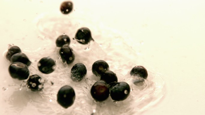 蓝莓落在水中慢镜头，在白色背景下