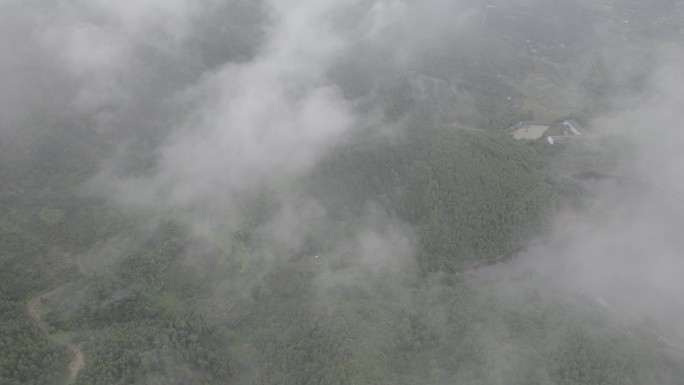 航拍雨后山谷丨Dlog丨原始素材