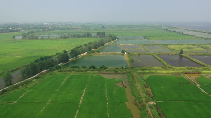 原创 江西南昌大片农田耕地农业航拍景观