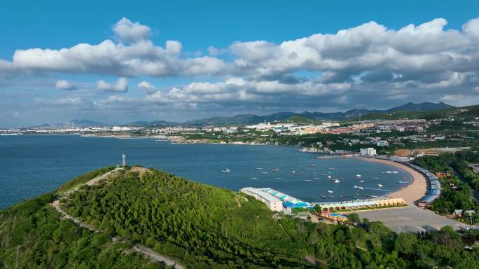 海湾 海边 大海 生态