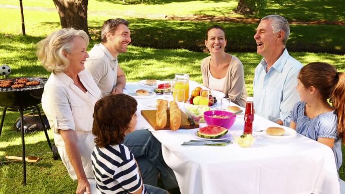 快乐的一家人在一个阳光明媚的日子里野餐