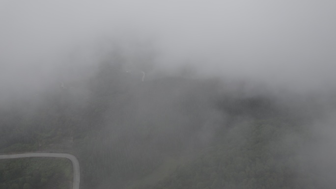 雨后山顶山路云雾缭绕丨Dlog丨原始素材