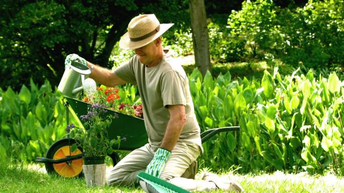 一位退休男子在慢镜头中浇他的植物