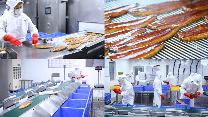 广东预制菜 食品加工烤鳗鱼生产线