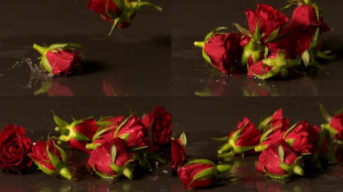 玫瑰头缓慢地落在潮湿的黑色表面上