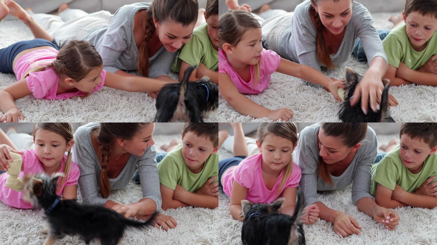 可爱的兄弟姐妹和他们的妈妈在家里客厅的地毯上玩小狗