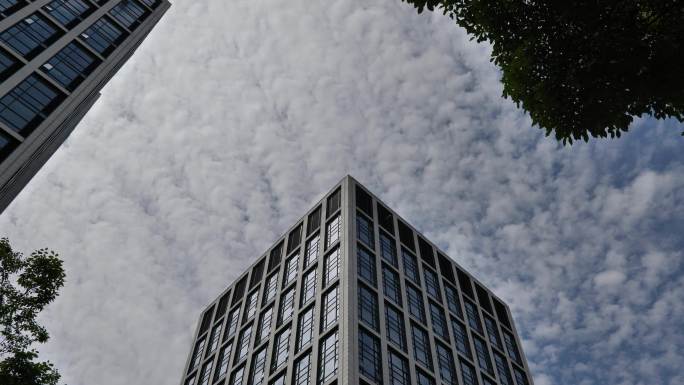 杭州城市高楼和云层（有前景树叶