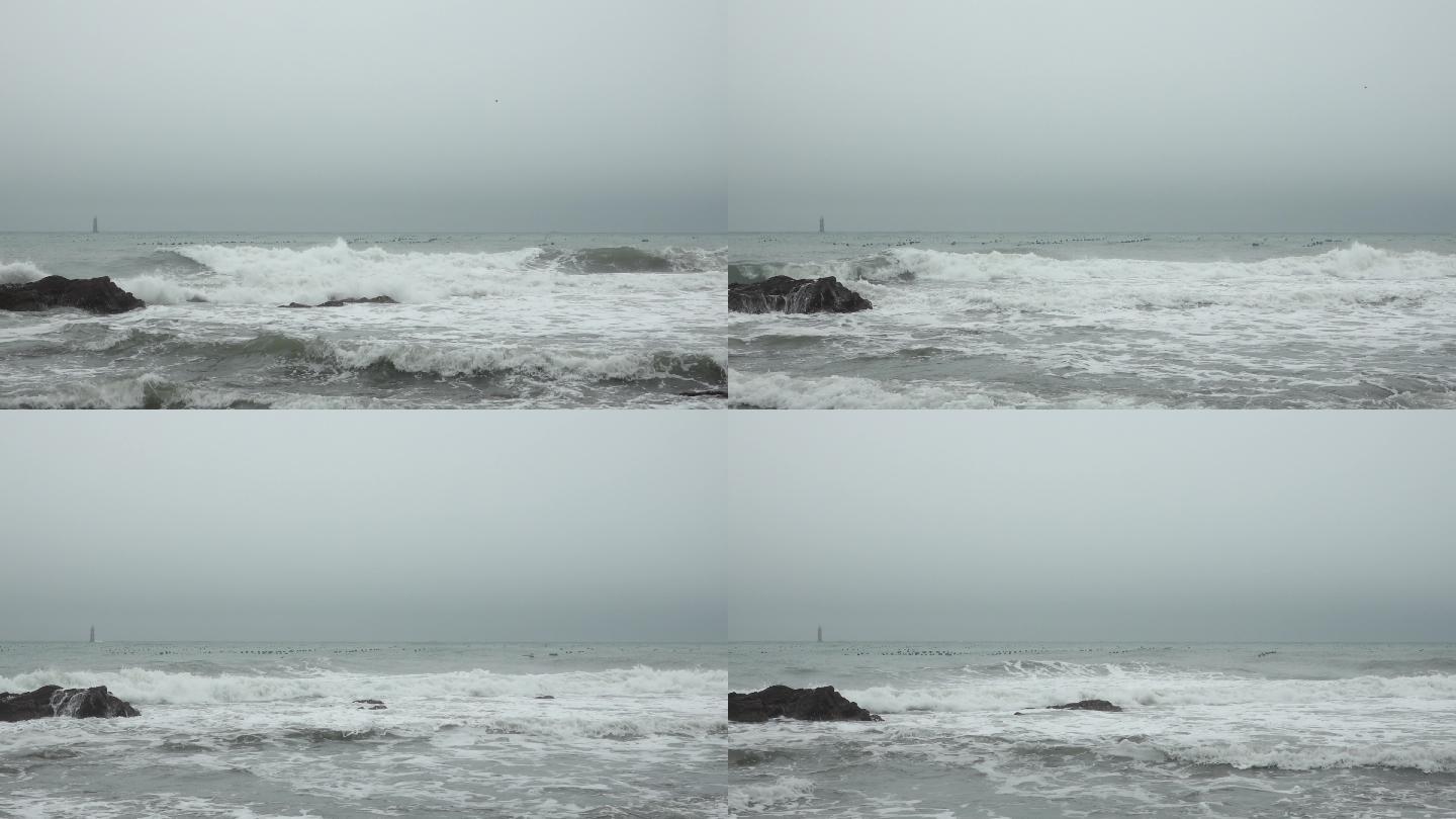 hdr4k视频海鸥在波涛汹涌的海面上飞翔
