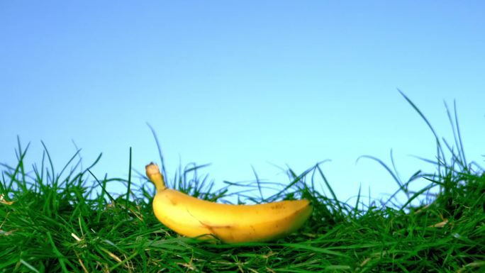 掉到草地上的香蕉特写