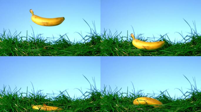 掉到草地上的香蕉特写