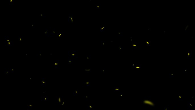 4款三维黄菊花瓣飞舞-无缝循环带透明通道
