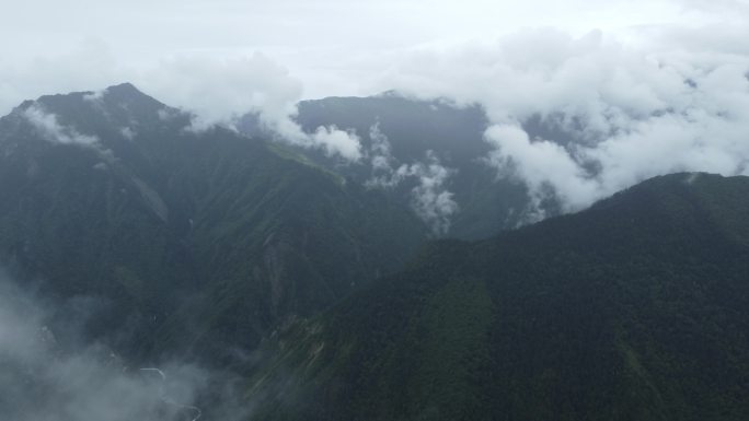 四川省阿坝州巴郎山熊猫王国之巅