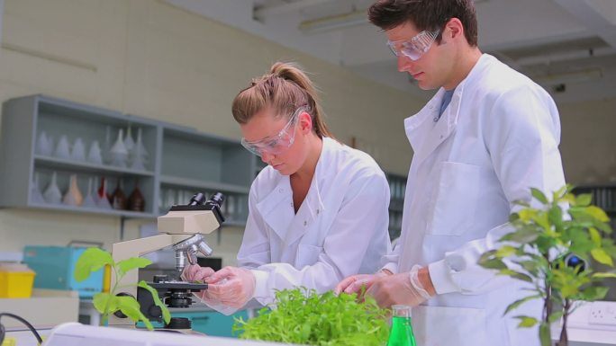 学生在实验室用显微镜进行植物研究