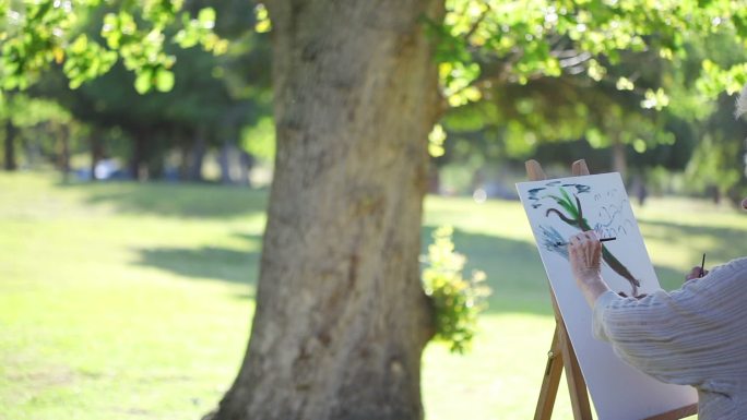 一对退休夫妇在公园的帆布上画一棵树特写