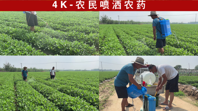 4K-农民喷洒农药