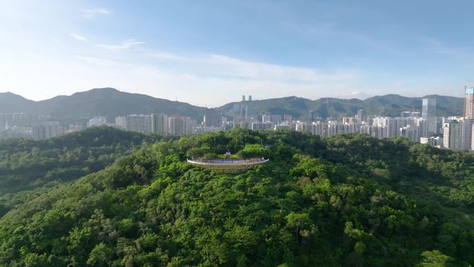 2022深圳航拍莲花山大景4K