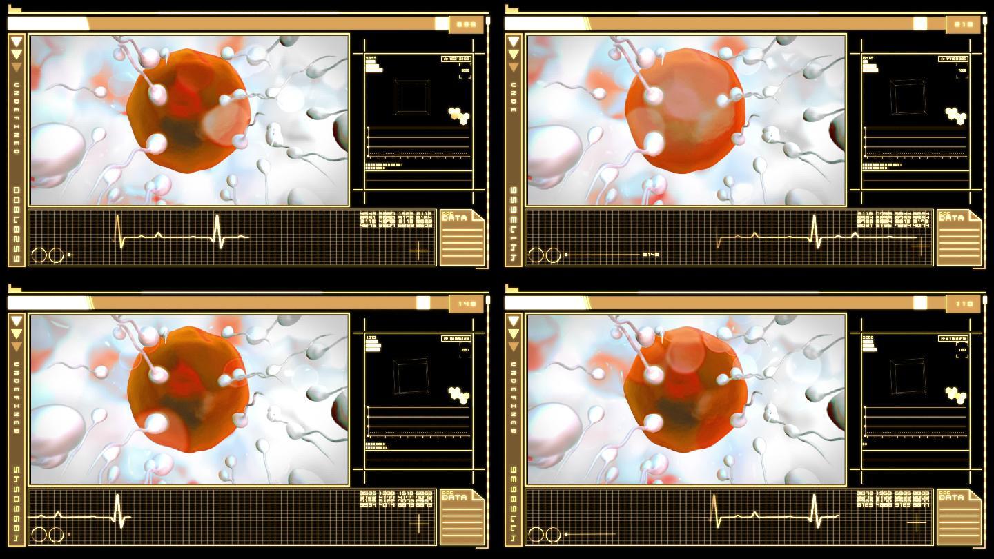 医学数字界面显示卵子受精的橙色和黑色