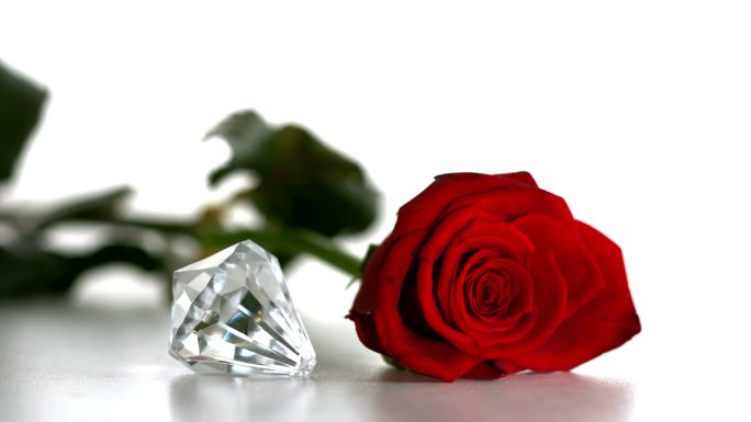 红色玫瑰花特写钻石红色玫瑰花浪漫