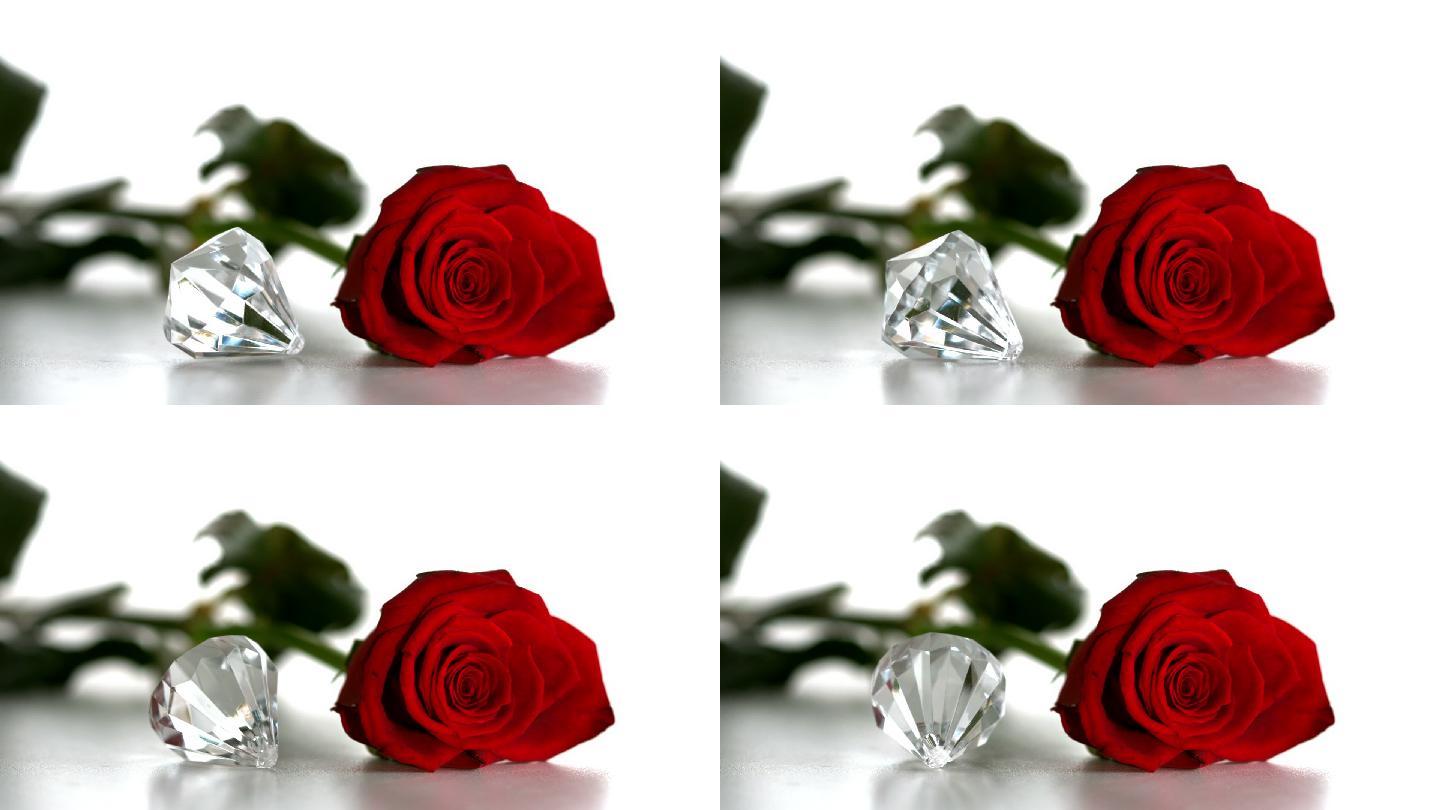 红色玫瑰花特写钻石红色玫瑰花浪漫