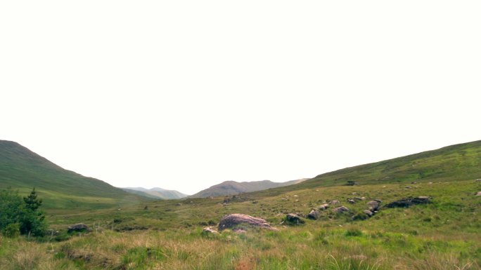 山坡风景特写山坡风景特写