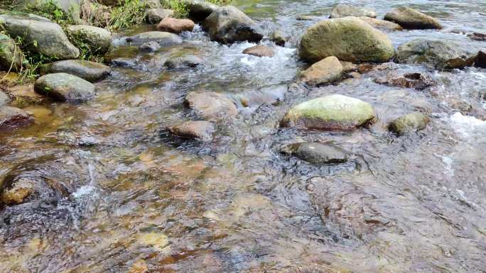 水森林水小溪水泉水酿酒水森林水涓涓水流