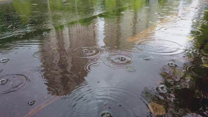 0009_D实拍下雨天城市道路路面积水