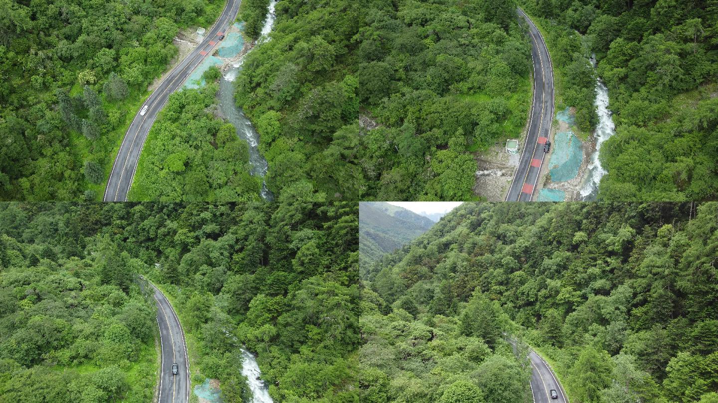 四川省阿坝州巴郎山熊猫王国之巅