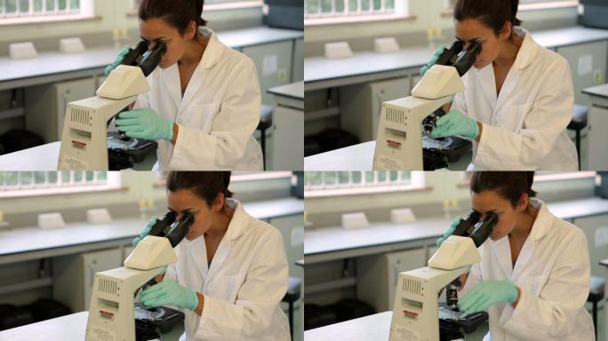 在大学实验室里通过显微镜观察的理科生