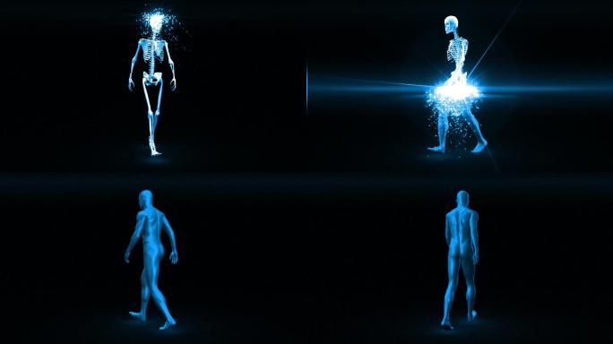 旋转的骨骼出现，并成为完全形成行走的人在蓝色的黑色背景
