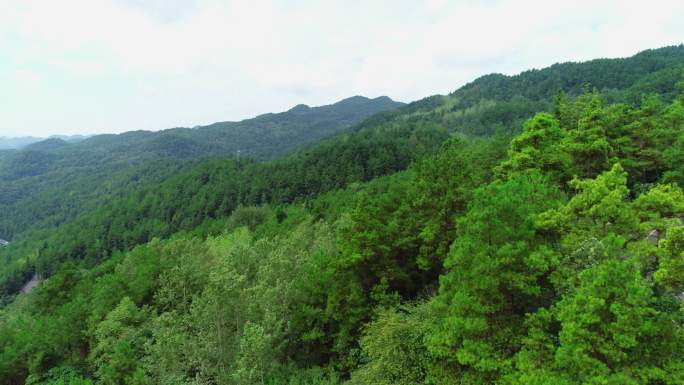 森林航拍大自然森林山脉小路