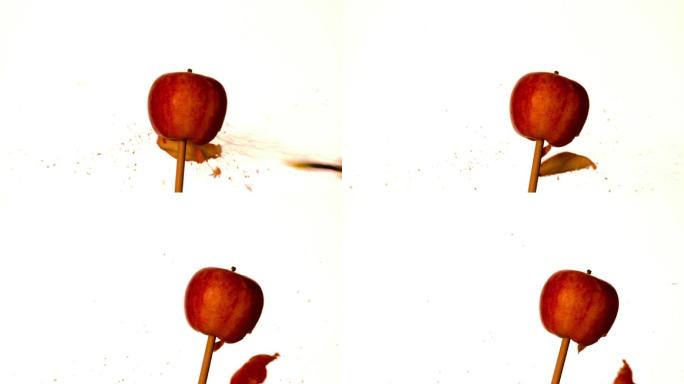 箭射穿过红苹果在白色的背景慢动作