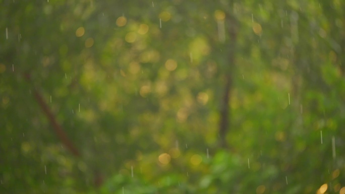 4K 晴天太阳雨夏天雨季