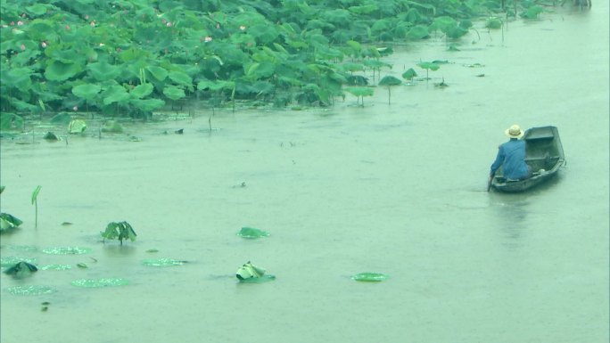 雨中荷塘小船