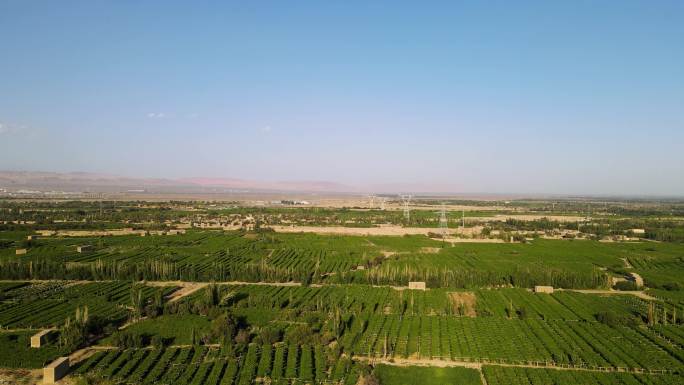 新疆 吐鲁番 平原 葡萄园 棉花圆 航拍