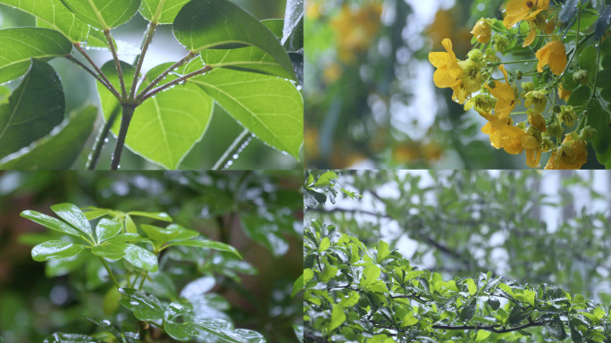 延时摄影台风天气 乌云压城 暴雨倾注