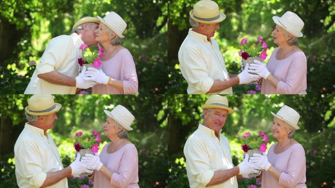 一对老夫妇在做园艺时接吻特写