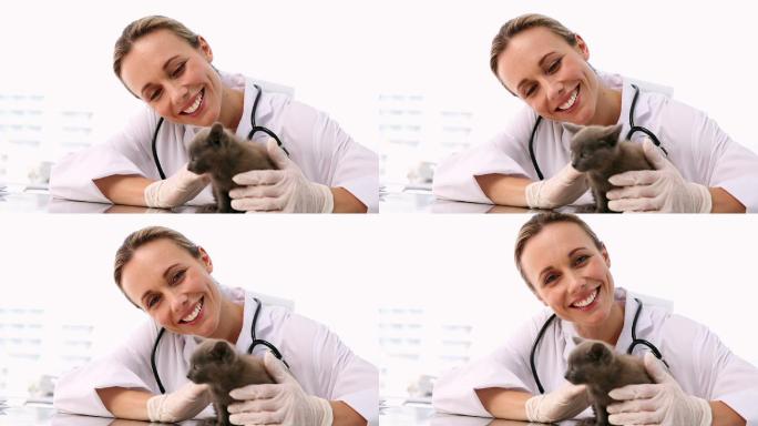 兽医在她的办公室里检查一只灰色小猫