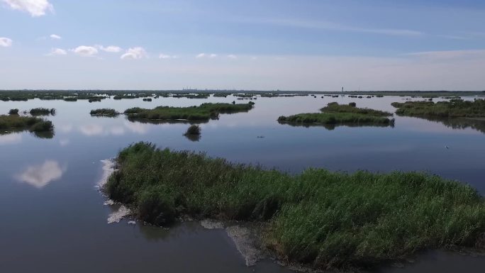 大庆龙凤湿地水面