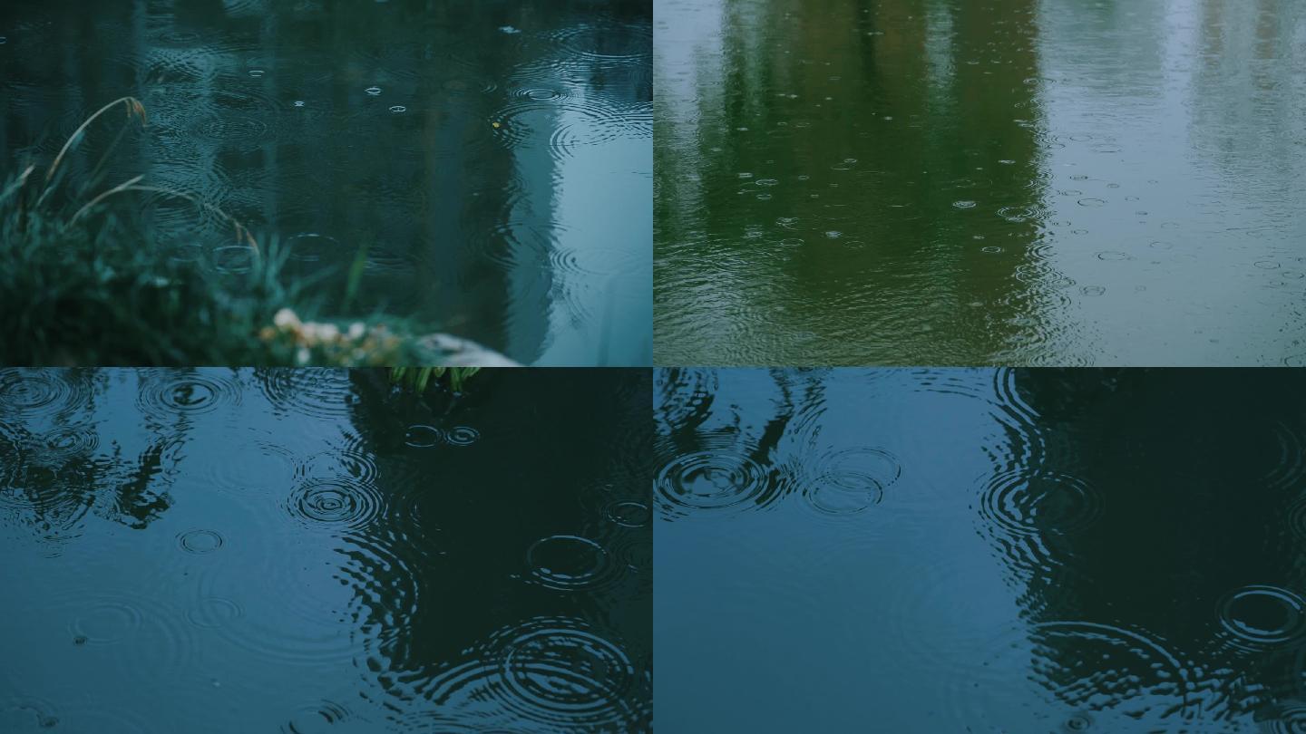 雨水涟漪 下雨空镜头 清明下雨