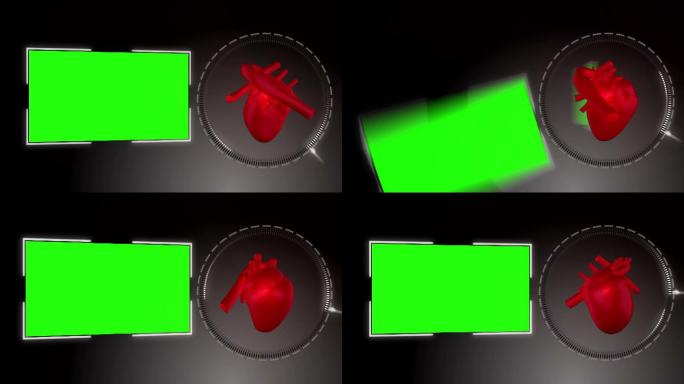 一颗心脏在绿色屏幕旁边动画特效