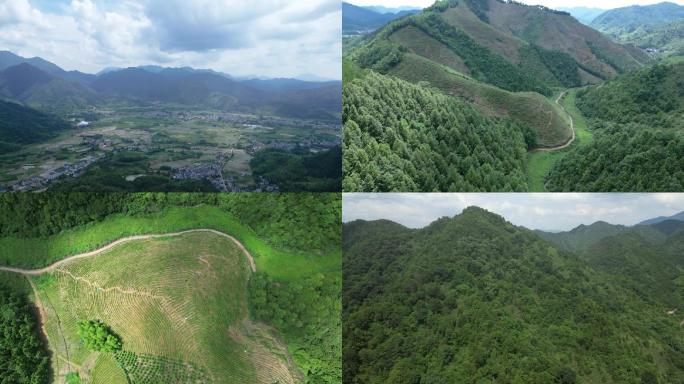 钱江源杨林壕岭关山川森林村庄航拍