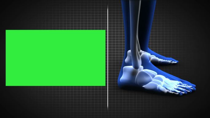 蓝色人体扫描和绿色屏幕动画特效