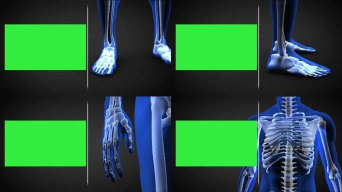 蓝色人体扫描和绿色屏幕动画特效