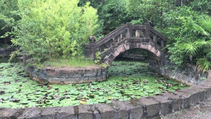 中国古典园林小桥石桥荷塘中式